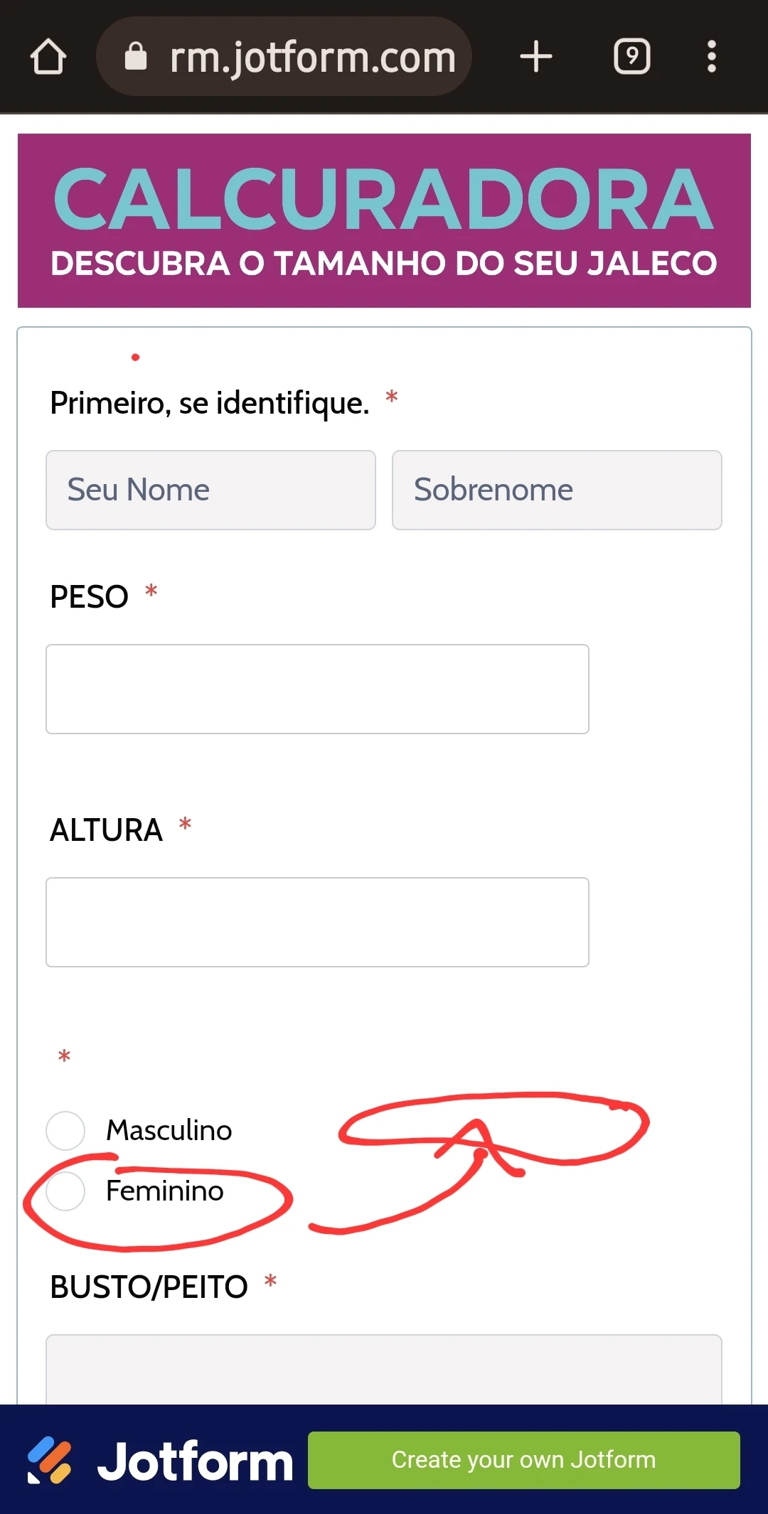 Jotform Thread 5381204 Screenshot