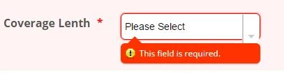 How to adjust validation for drop down field? Image 1 Screenshot 20