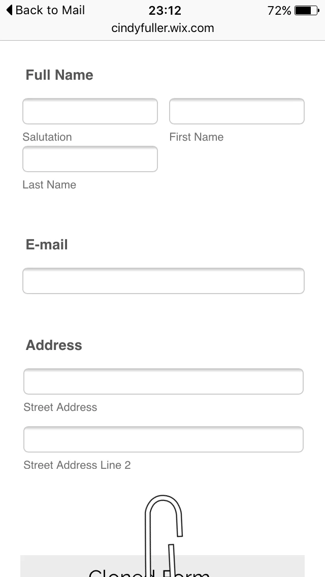 Form not displaying correctly on iOS Screenshot 62