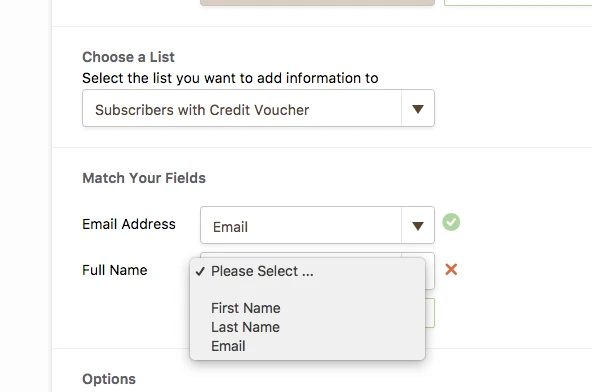Mailchimp Integration Full Name issue Image 2 Screenshot 41