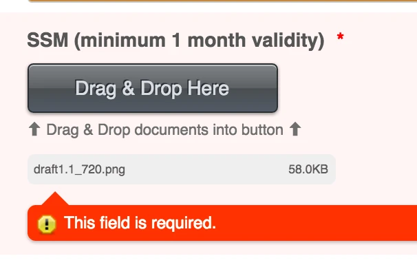 I keep receiving the this field is required error at my drag & drop button even though Ive attached a file Screenshot 20