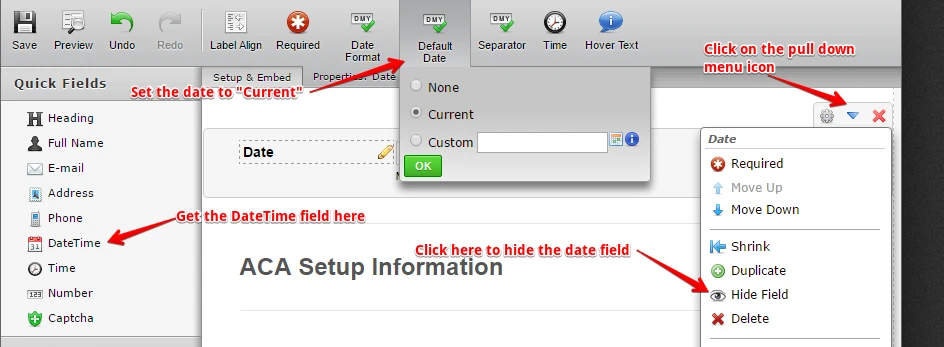 Can I insert todays date as a hidden field or a visible read only field? Image 1 Screenshot 20