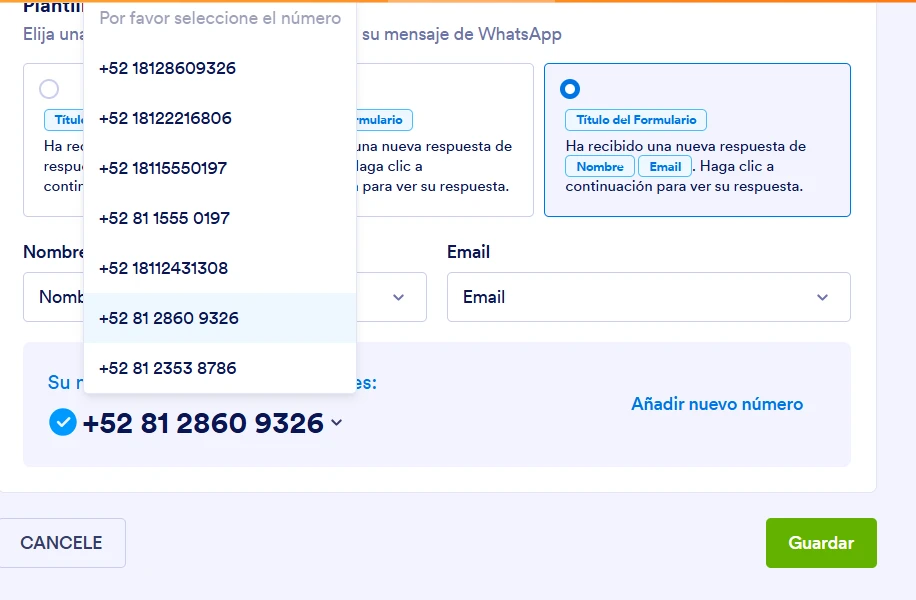 Notificaciones de WhatsApp: No llegan en formulario específico
Image-1