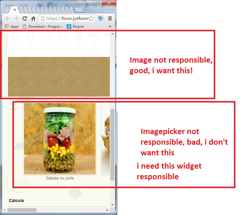 How to have a parcially mobile responsive form? Image 2 Screenshot 41