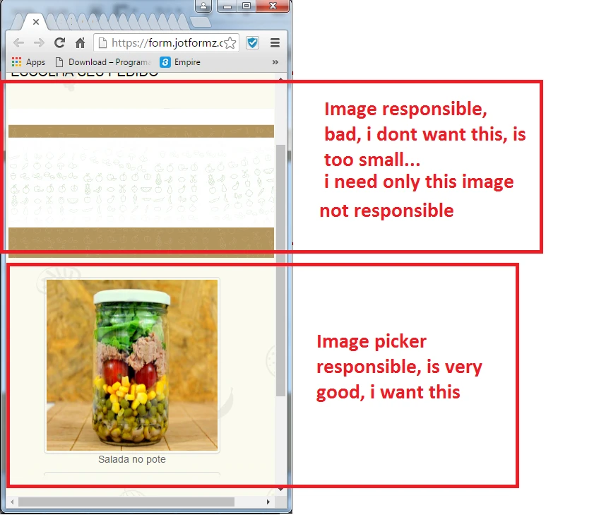 How to have a parcially mobile responsive form? Image 1 Screenshot 30
