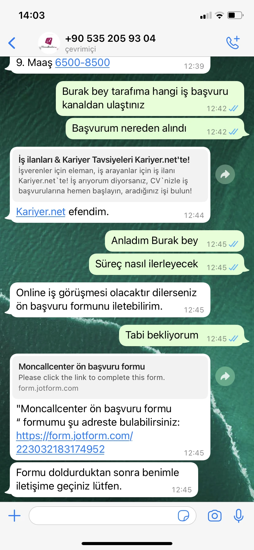 Jotform Thread 4514505 Screenshot
