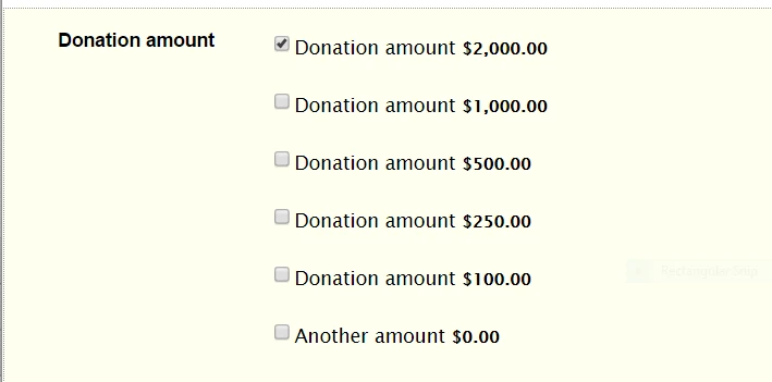How can I have a box for manually entering donation amount? Image 1 Screenshot 30