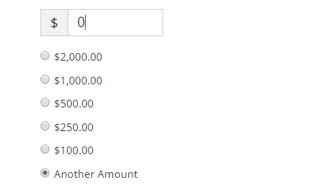 How can I have a box for manually entering donation amount? Image 2 Screenshot 41
