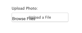 Form Display: Adjusting Scrollable Window Size for Better User Experience Image 1 Screenshot 10