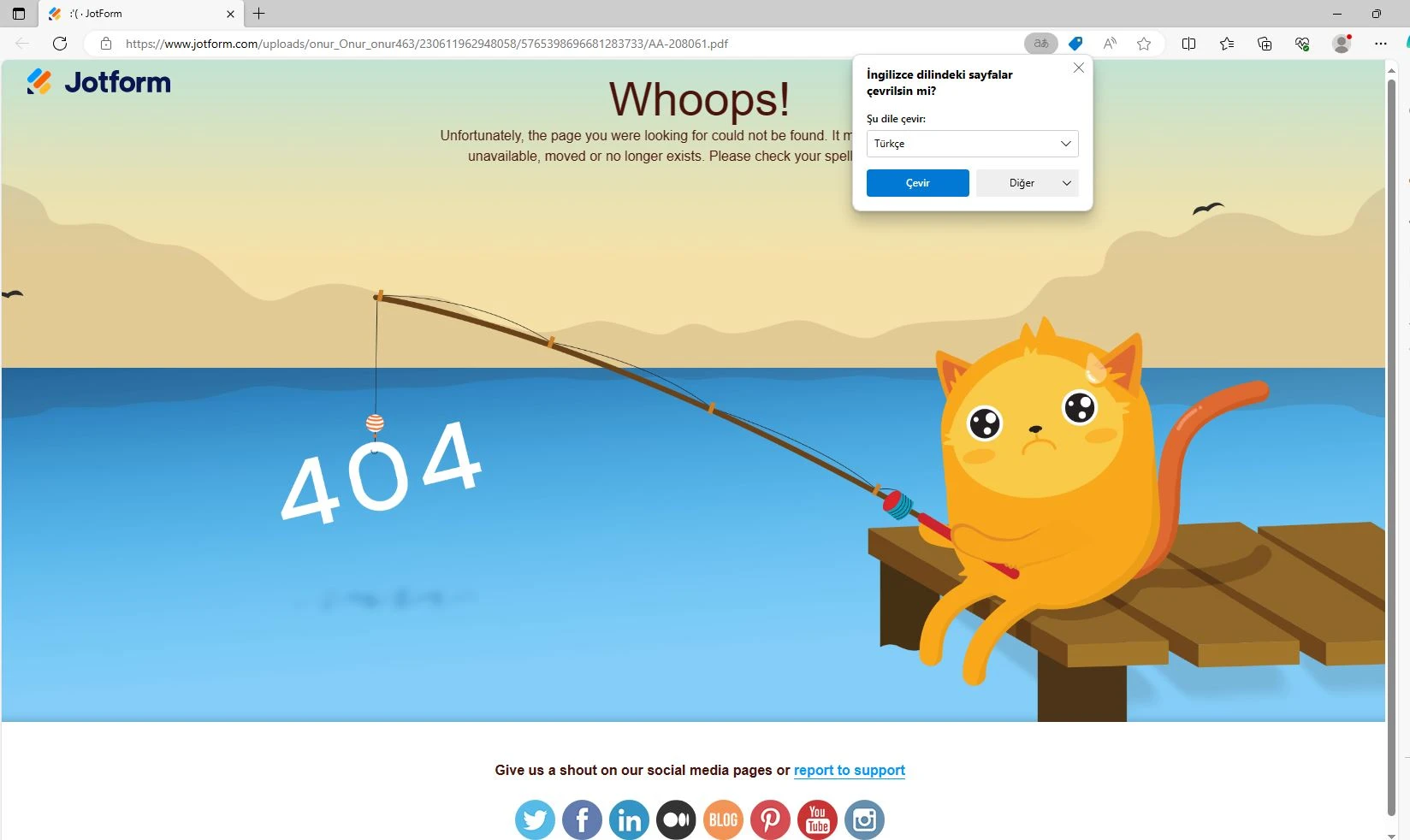 Jotform Thread 9386571 Screenshot