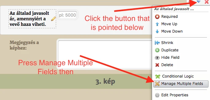 How to duplicate multiple fields Image 1 Screenshot 30