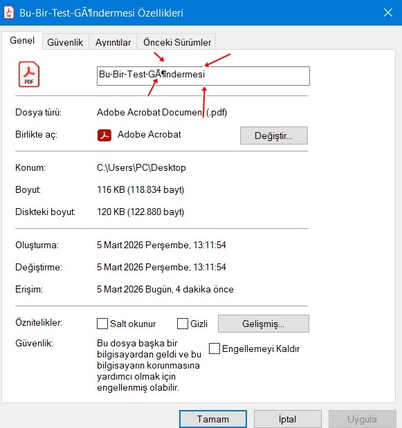 PDF İndirilen Dosyalarda Türkçe Karakterlerin Yanlış Görünmesi Sorunu
Image-1