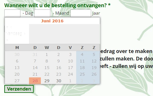 DateTime calendar popup looks bad when form is embedded as source code Image 1 Screenshot 20