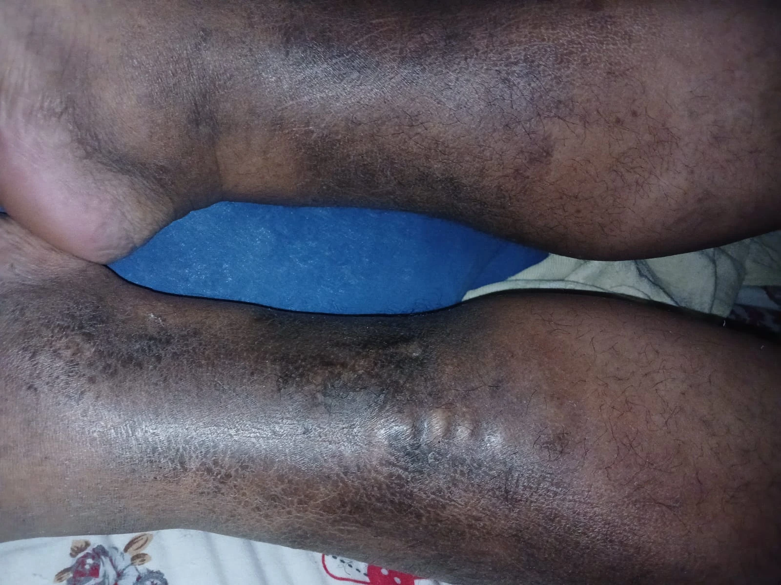 Jotform Thread 31856351 Screenshot