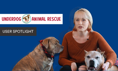 Underdog Animal Rescue Banner Image