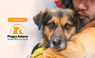 Peggy Adams Animal Rescue League Banner Image