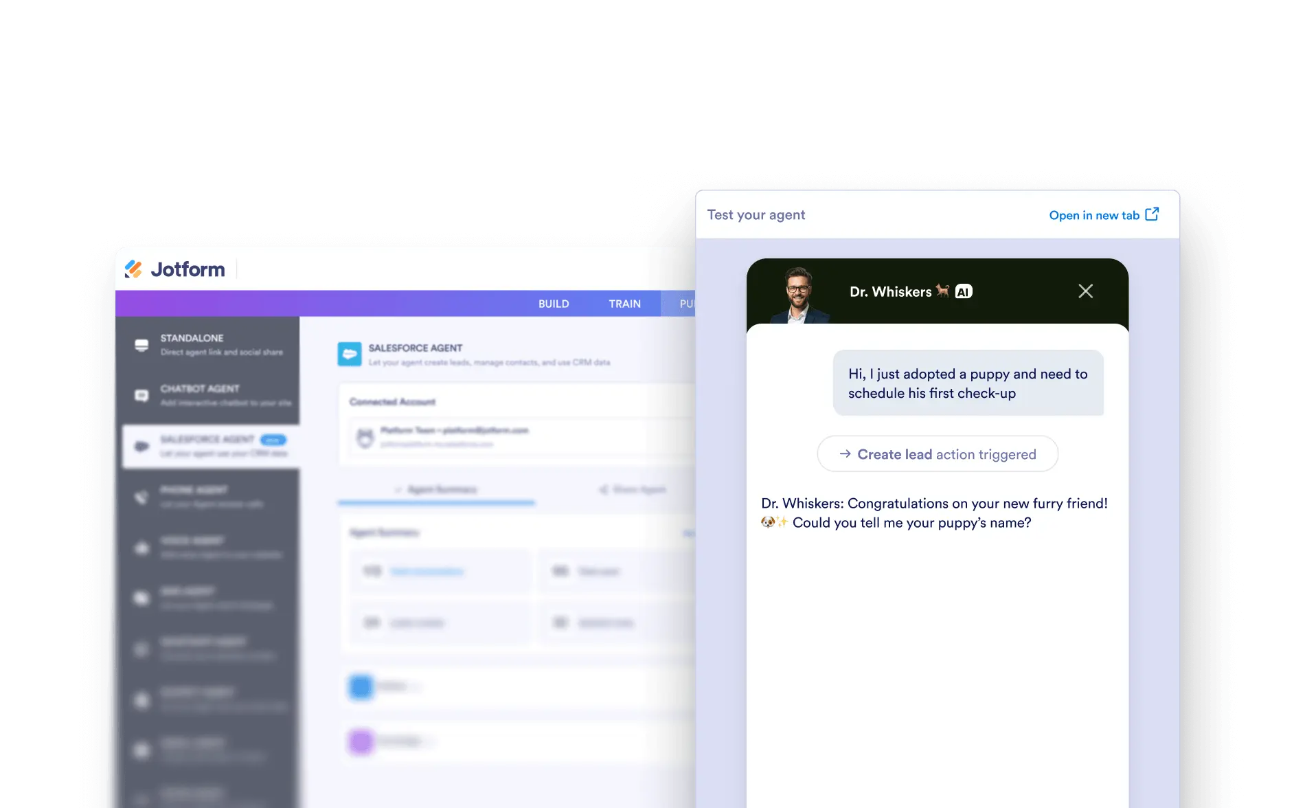 Test Your Salesforce Agent