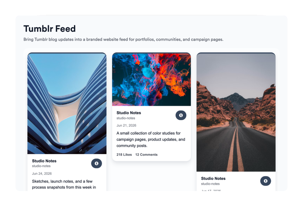 Tumblr Feed