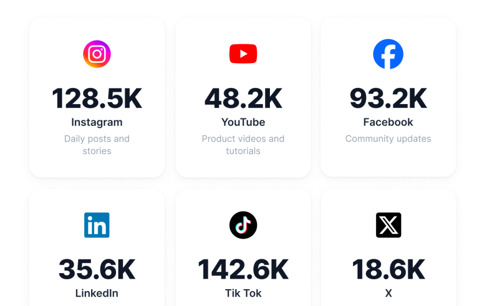 Social Media Follower Count
