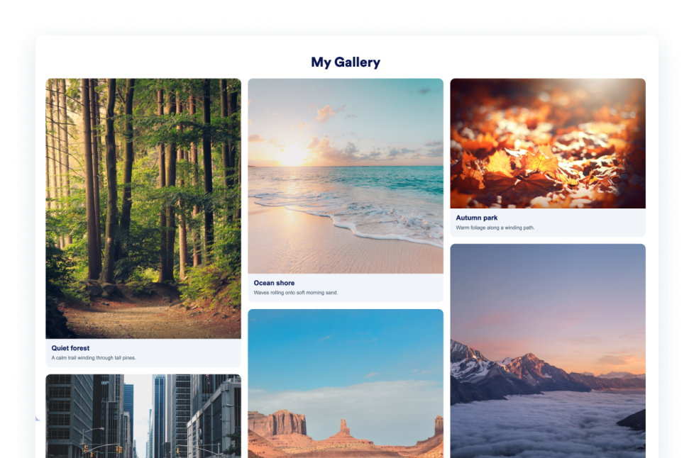 Photo Gallery