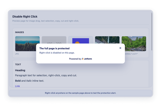 Create Your Own Disable Right Click Widget in Seconds for Your Website