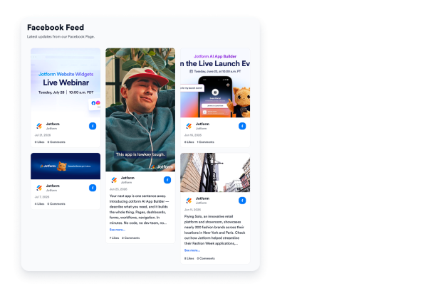 Facebook Feed Widget Features for Websites