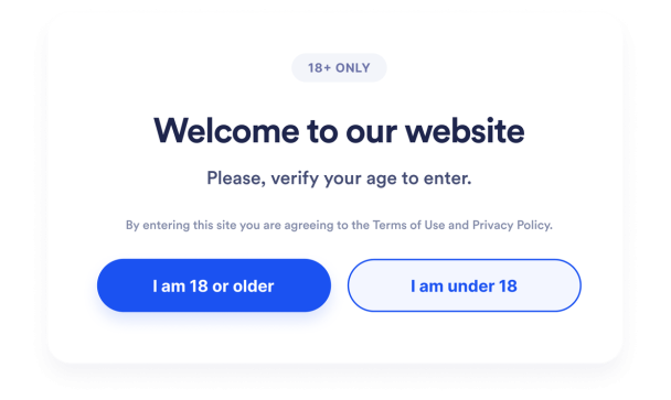 Age Verification Widget Features for Website Access