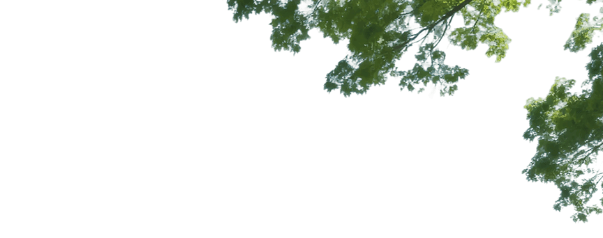 Trees in Introduction