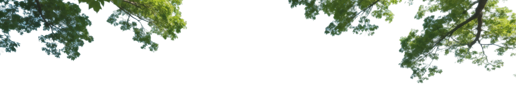 Trees in Introduction