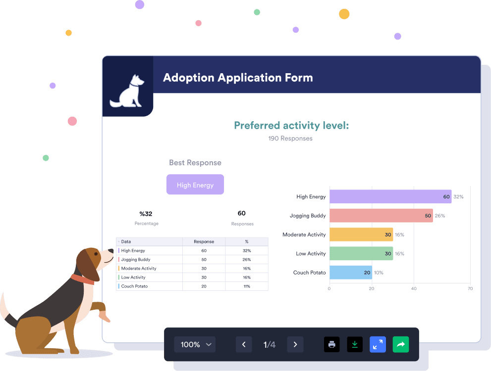 Turn Form Data Into Insightful Reports