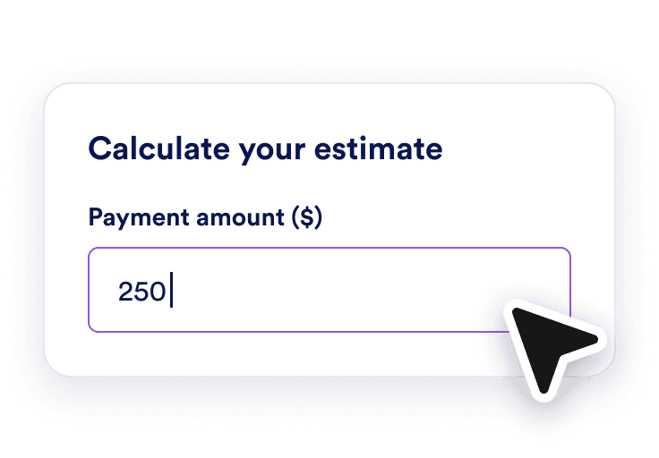 Enter the payment amount