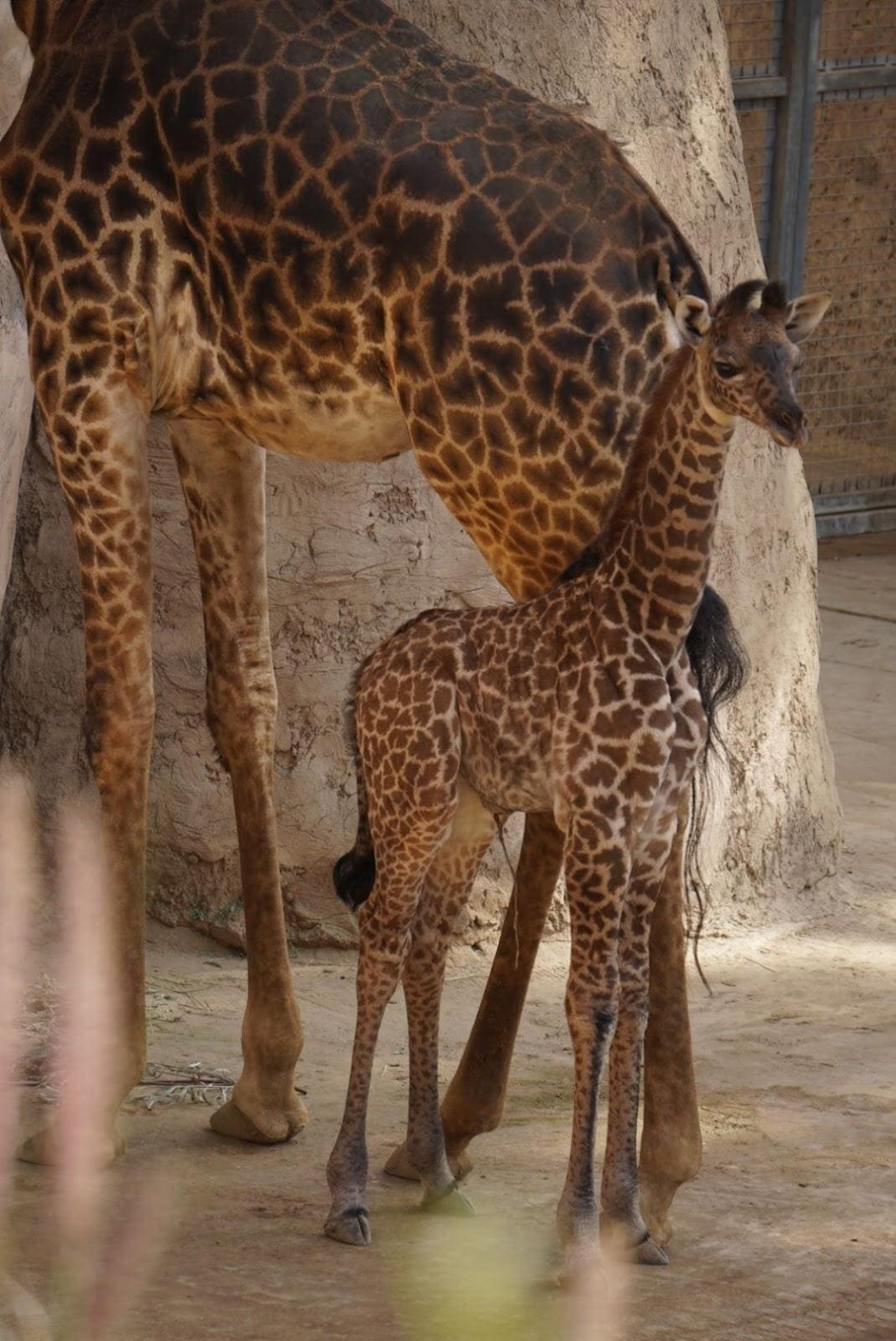 Malia standing next to her mother Adia