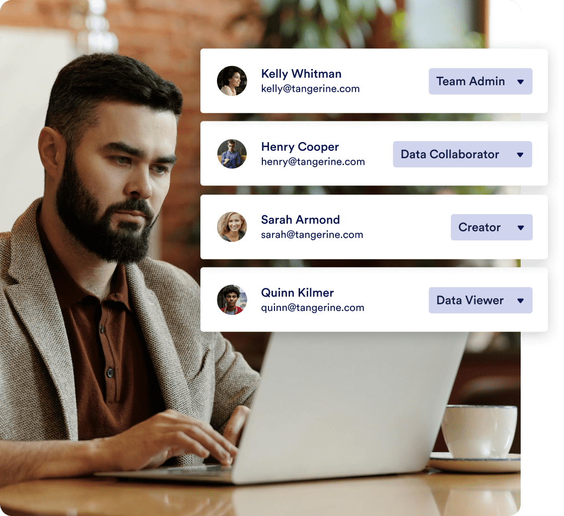 Team member access roles