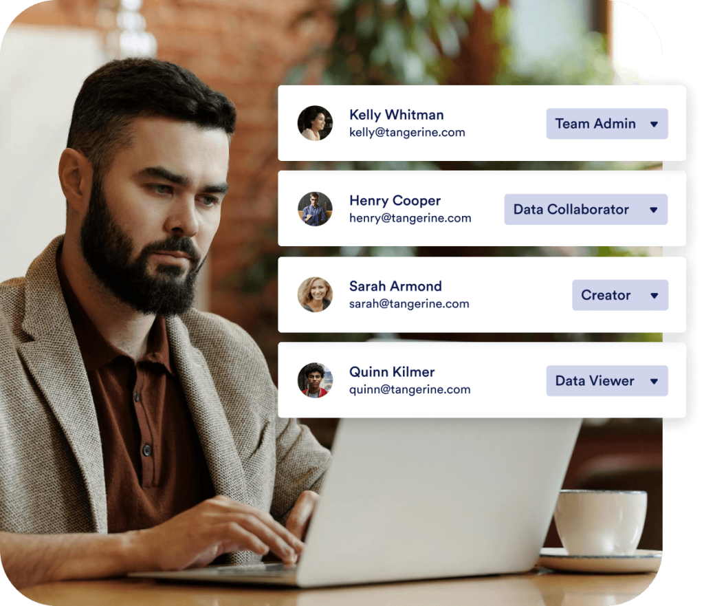 Team member access roles