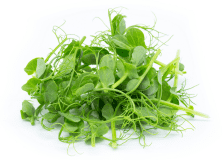 Sell Microgreens Online