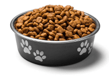 Sell Pet Supplies Online