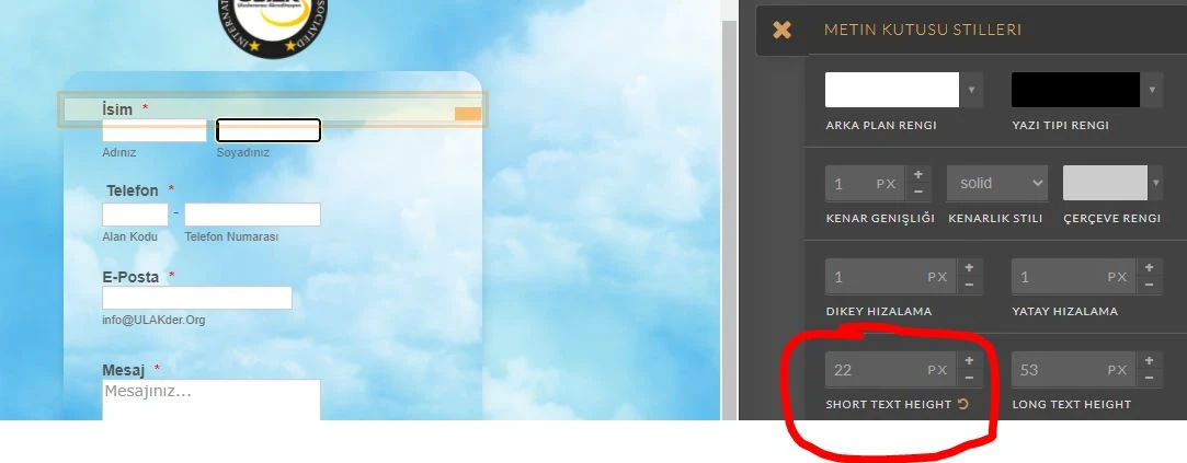 Jotform Thread 3842299 Screenshot