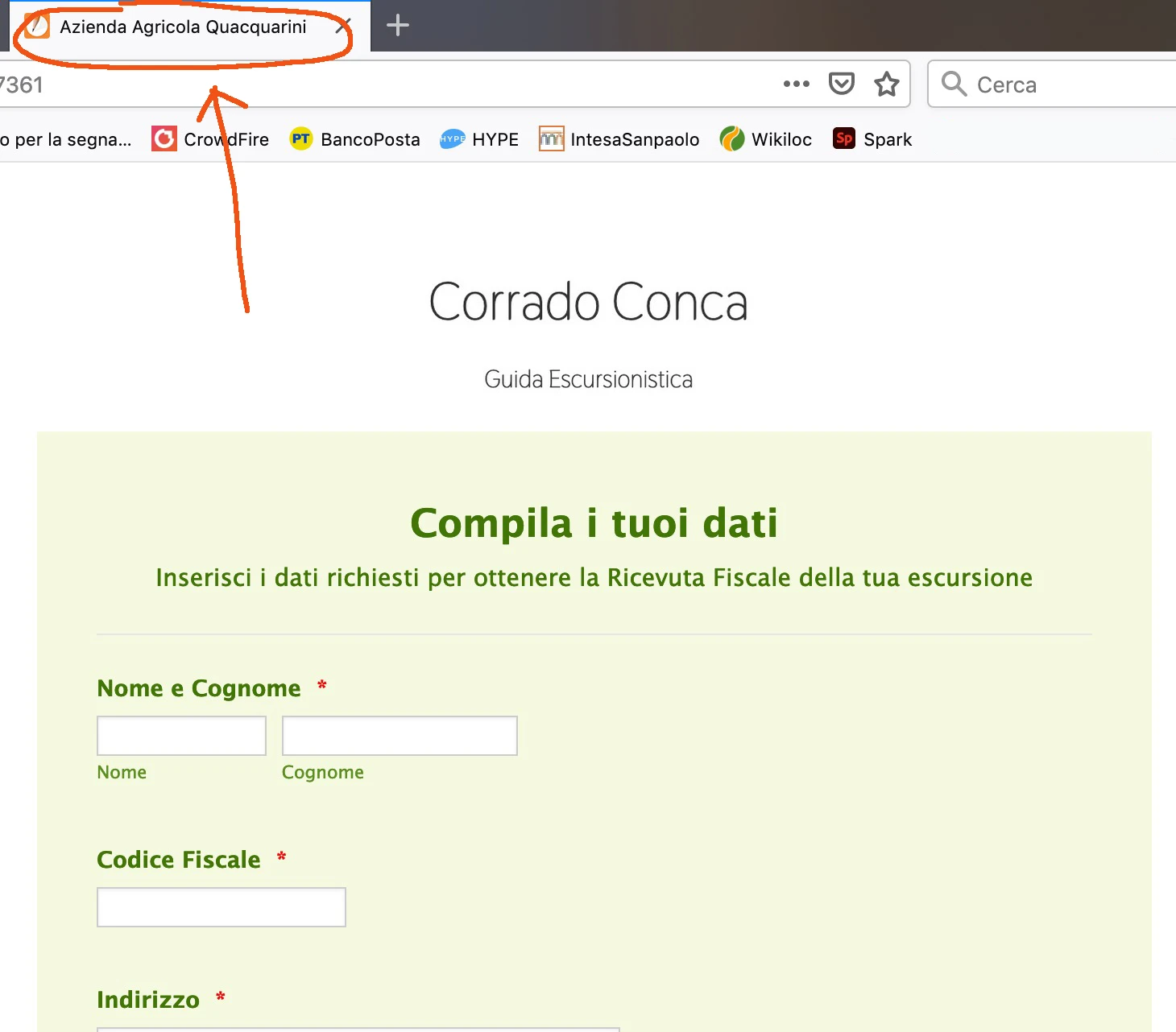 Jotform Thread 2979161 Screenshot