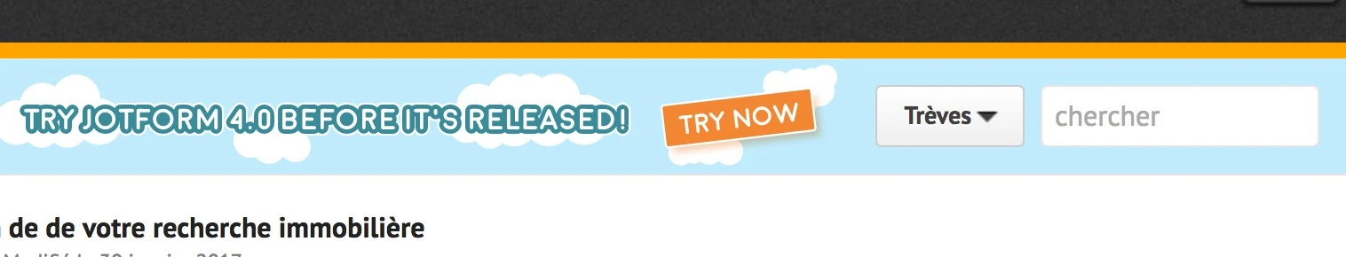Jotform Thread 1050444 Screenshot