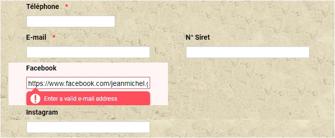 Jotform Thread 3998983 Screenshot