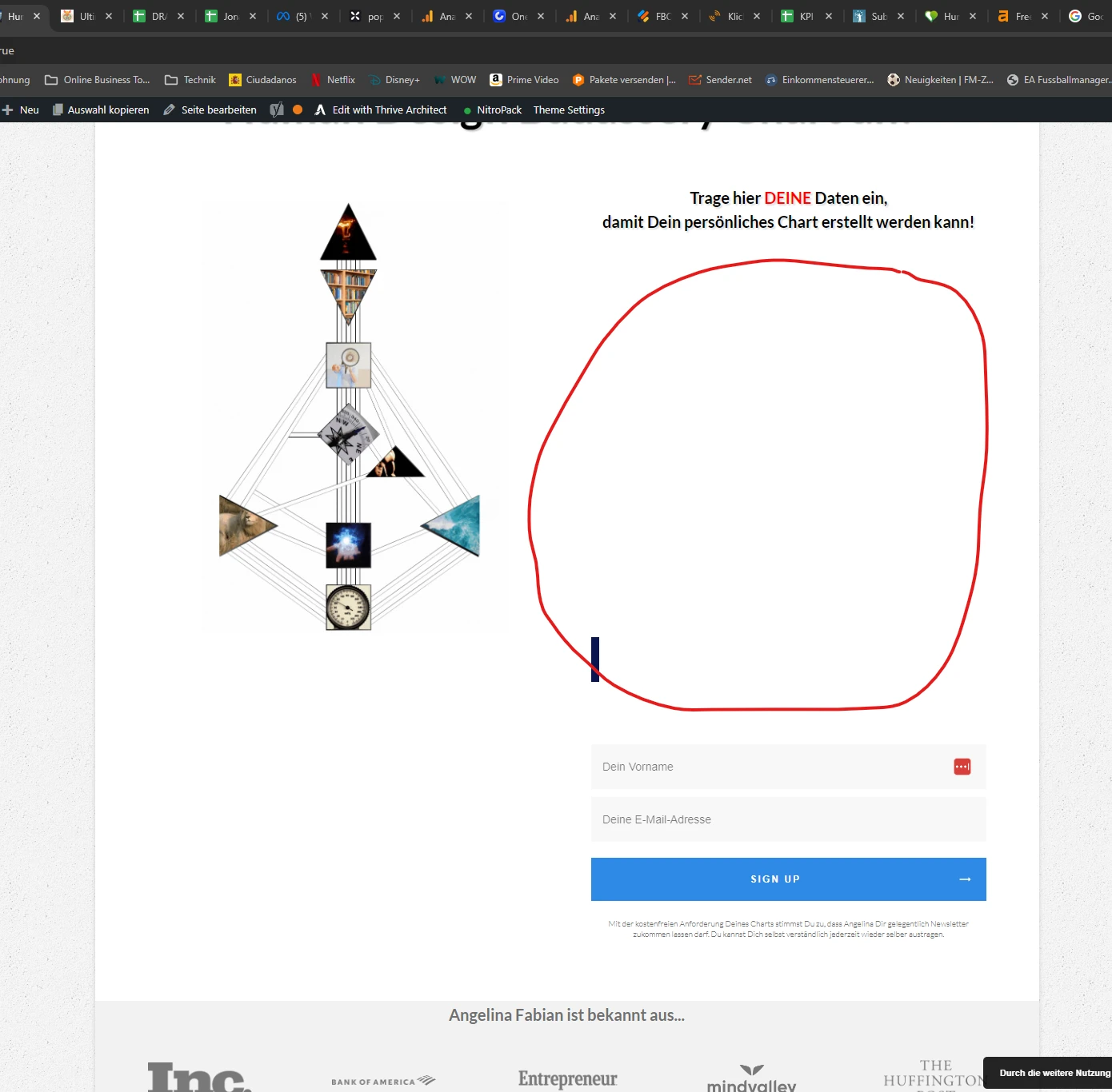 Embedded form not showing on my website Image 1 Screenshot 20