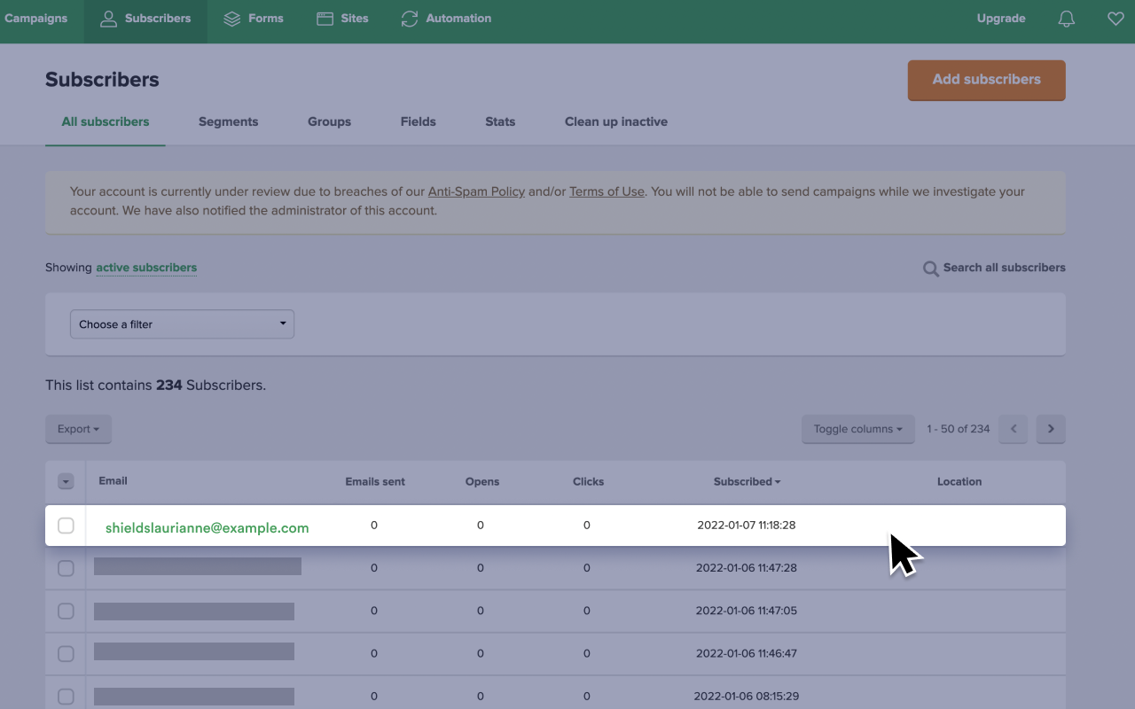 MailerLite Screenshot 4