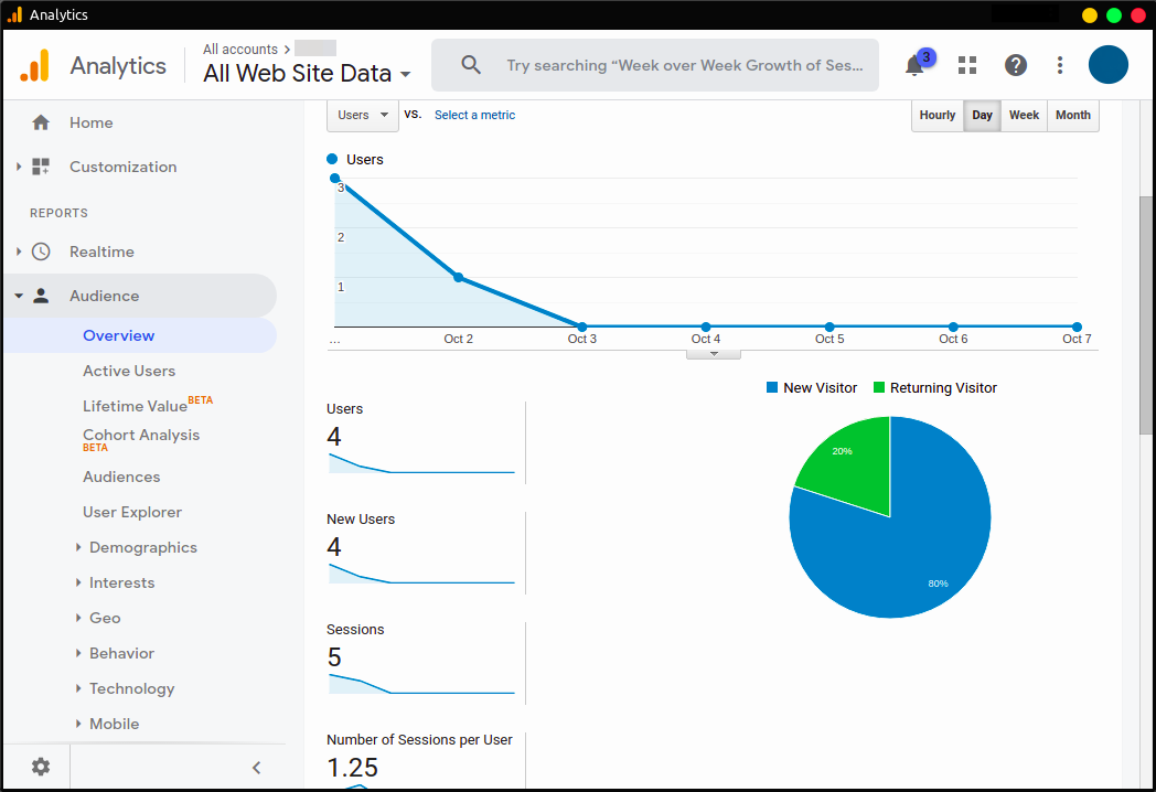Google Analytics Screenshot 3