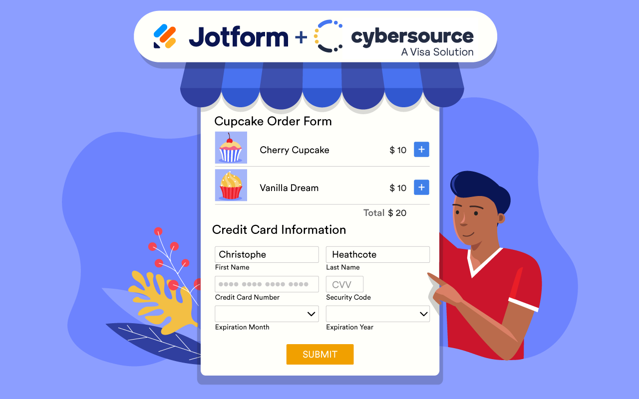CyberSource Screenshot 1
