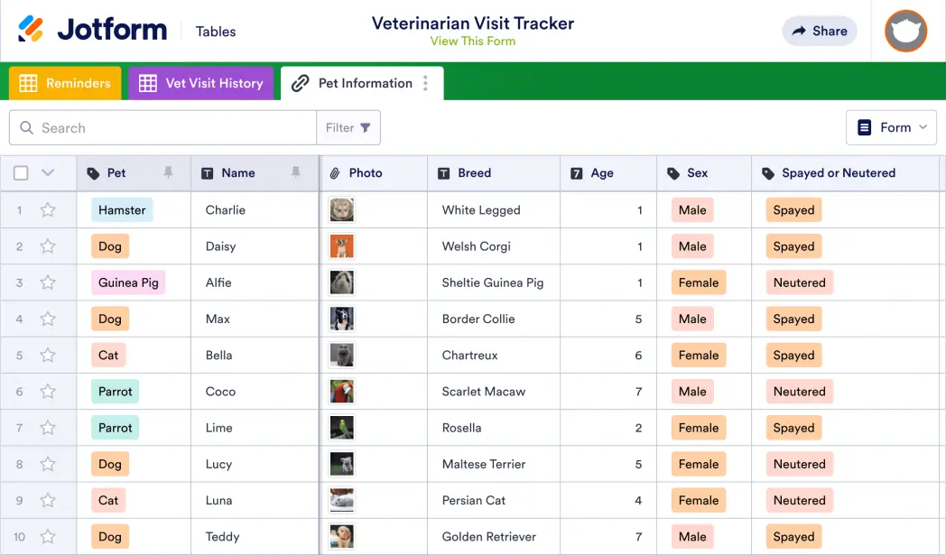 Veterinarian Visit Tracker Template