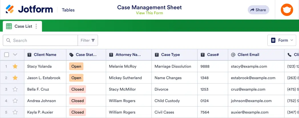 Case Management Sheet Template