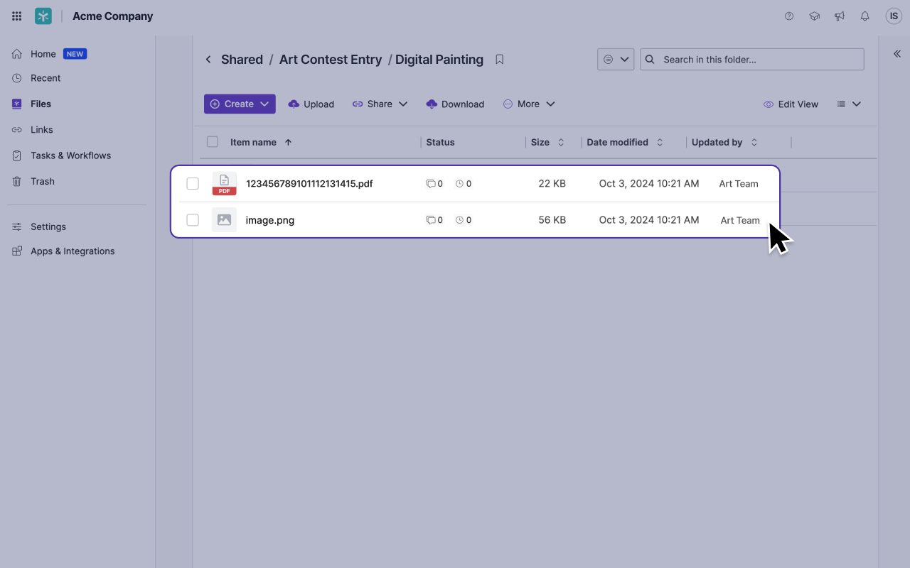 Egnyte Screenshot 5
