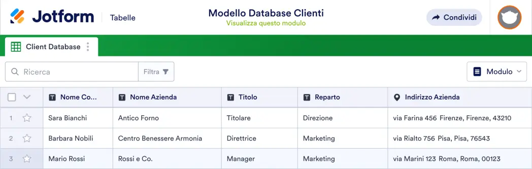 Modello Database Clienti Template
