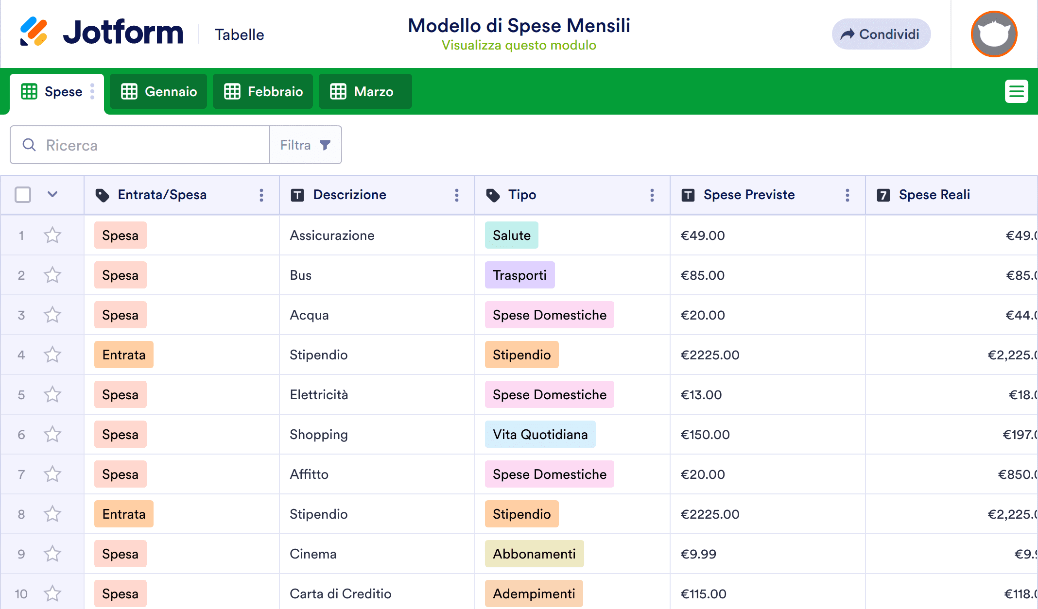 Modello di Spese Mensili Template