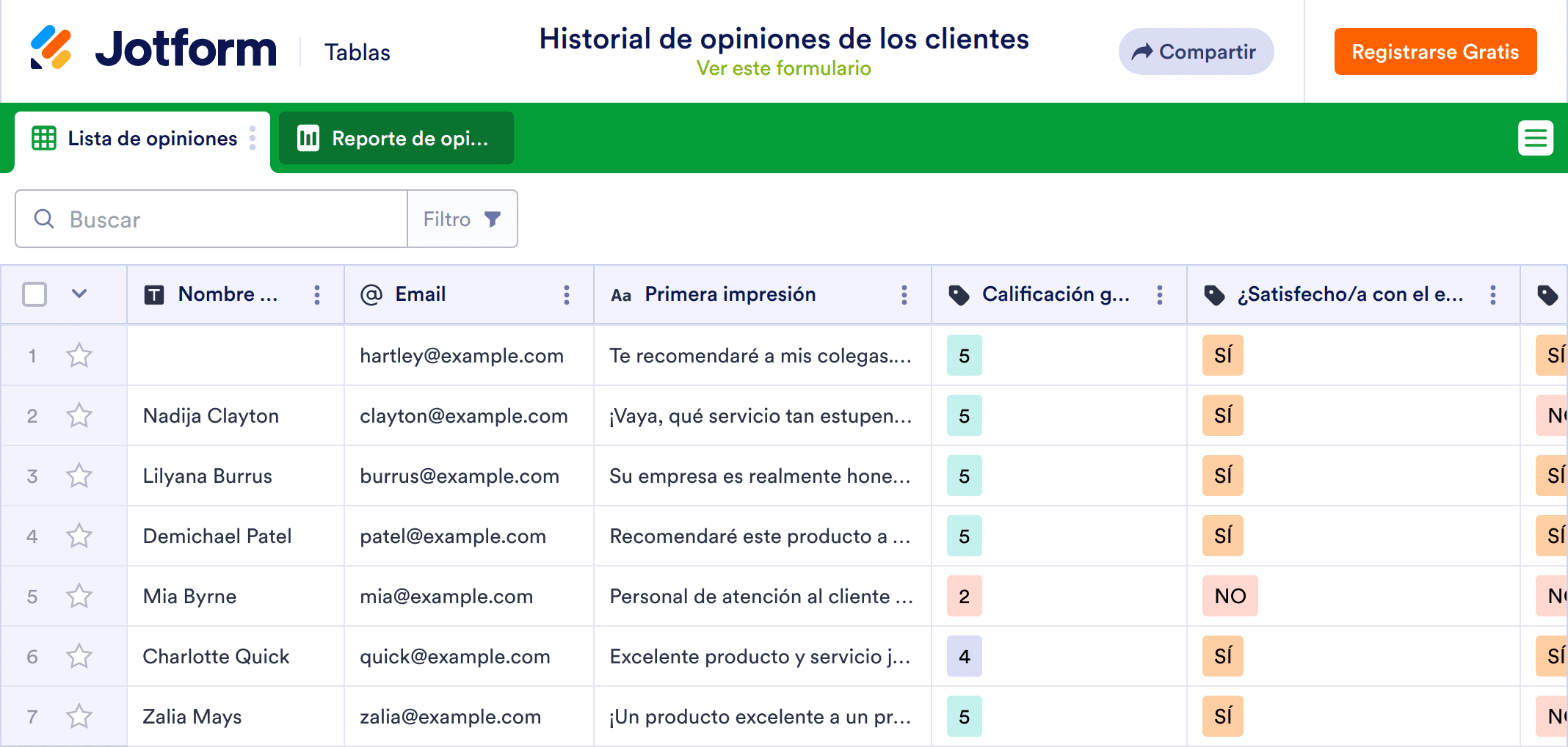 Registro de opiniones de los clientes Template